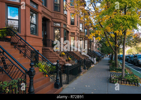 Grès et la couleur en automne à Park Slope, Brooklyn, New York City Banque D'Images