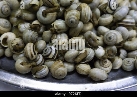 Plat d'escargots à l'ail bouilli Banque D'Images