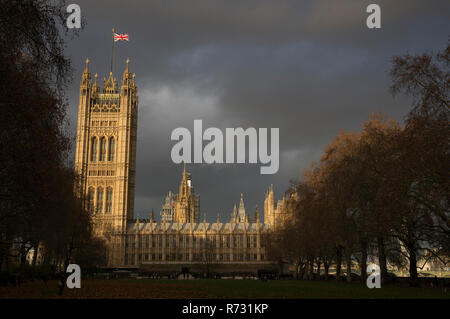 Vue sur les Maisons du Parlement de Victoria Tower Gardens contre une lumière Banque D'Images