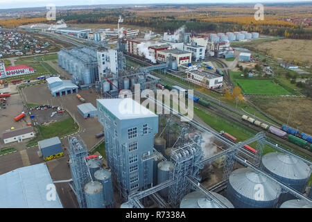 Plante grasse. Pour le traitement en usine graisse et huile. La production industrielle des aliments Banque D'Images