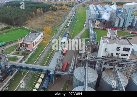 Plante grasse. Pour le traitement en usine graisse et huile. La production industrielle des aliments Banque D'Images