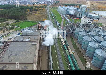 Plante grasse. Pour le traitement en usine graisse et huile. La production industrielle des aliments Banque D'Images