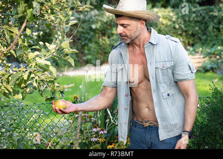 Homme admirant sur apple tree Banque D'Images