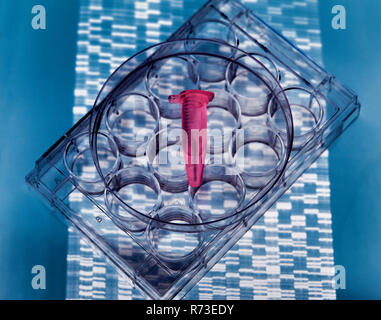 L'intérieur de l'échantillon d'ADN sur flacon, plaques de multiples résultats gel d'ADN Banque D'Images