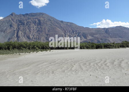 Dunes de sable dans la vallée de Nubra entre , Hundar et Diskit, Ladakh, Inde Banque D'Images