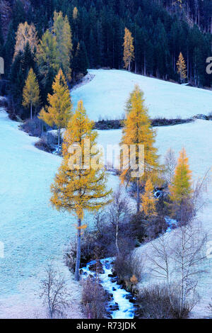 Ruisseau de montagne, Paznauntal, Tyrol, Autriche (Europe) spec. Banque D'Images
