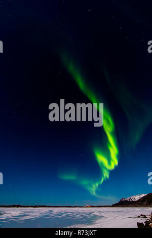 Aurora Borealis, Eggum, îles Lofoten, Nordland, Norvège Banque D'Images