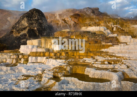 Les terrasses de Devils Thumb dans l'énorme bassin de geysers de Yellowstone National Park, Wyoming. USA Banque D'Images