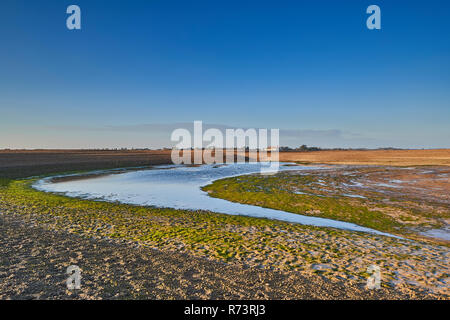 La plage à Shingle Street à marée basse sur la fin de l'automne un après-midi avec un cottage blanc en arrière-plan, Suffolk, Angleterre, RU Banque D'Images