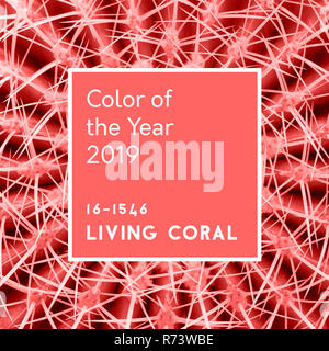 Résumé fond. Épines de cactus dans le quartier branché de coraux vivants couleur pastel. Inscription couleur de l'année 2019 Banque D'Images