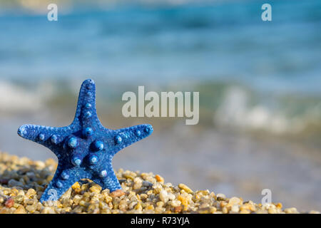 L'étoile bleue épinglée sur le sable à la plage. Bleu de la mer sur l'arrière-plan. Banque D'Images