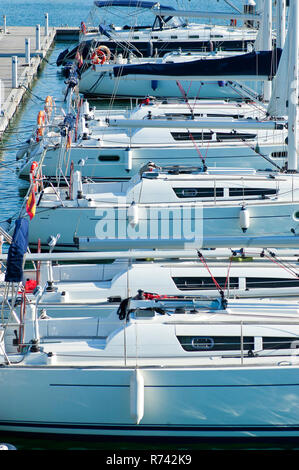 Yachts blancs amarrés dans une rangée à la marina, Valencia Sapina Banque D'Images