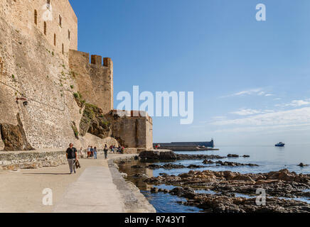 France, Pyrénées Orientales, Collioure, Côte Vermeille, muraille du château royal // France, Pyrénées-Orientales (66), la Côte Vermeille, Collio Banque D'Images