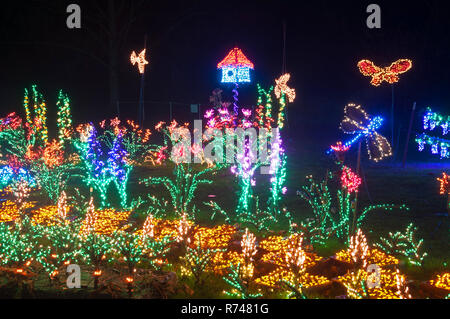 L'éclairage de Noël dans la nuit d'une cabane à jardin dans la nuit, d'un magnifique jardin de nuit scène de lumières de Noël. Banque D'Images