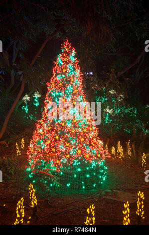Superbe arbre de Noël rempli de maison de nuits et d'autres fleurs lumières dans l'avant-plan de cette scène de nuit en grève. Banque D'Images