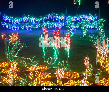 Jardin magnifique scène de lumières de Noël de nuit dispose de fleurs et de raisins violets dans cette superbe maison de vacances insolites lieux. Banque D'Images