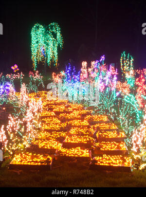 Cette superbe maison de vacances de Noël lumières dans la route de brique jaune dans une scène de jardin avec fleurs de nuit. L'affichage unique et innovante de lumières de Noël. Banque D'Images