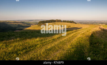 Lumière du matin jette des ombres sur les pâturages sur Fontmell en bas de la colline, au-dessus de la mosaïque du paysage agricole de la vallée de Blackmore, dans le Dorset. Banque D'Images