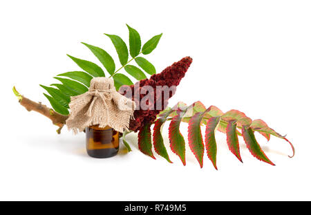 Les drupes de vinaigrier une bouteille avec l'industrie pharmaceutique. Isolé sur fond blanc. Banque D'Images