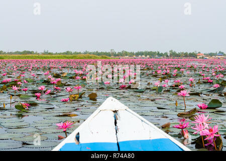 Matin en bateau sur le Lac Lotus Rouge (Talay Bua Daeng), Kumphawapi, Udon Thani, Thaïlande Banque D'Images