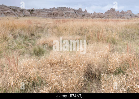 Les formations de l'érosion le long de Old Road, NW de l'automne, Badlands NP, S. Dakota, USA, par Dominique Braud/Dembinsky Assoc Photo Banque D'Images