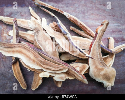 Médecine / champignons secs champignons lingzhi séchés tranche sur fond de bois - médecine traditionnelle chinoise le champignon Reishi Banque D'Images