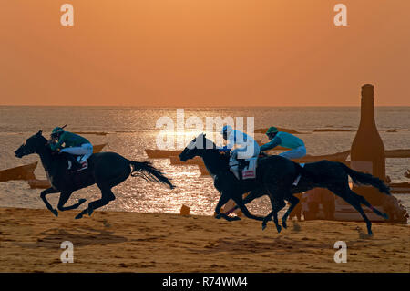 Les courses de chevaux sur la ligne Traditionals plage au coucher du soleil- depuis 1845. Sanlucar de Barrameda. La province de Cádiz. Région de l'Andalousie. L'Espagne. L'Europe Banque D'Images