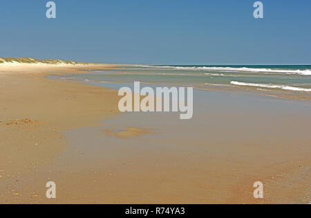 Calme, plage de sable fin sur une île-barrière Banque D'Images