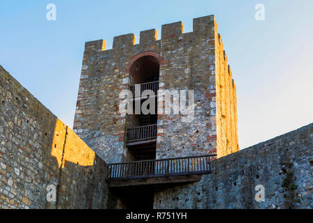 La forteresse de Smederevo médiévale tour en pierre Banque D'Images