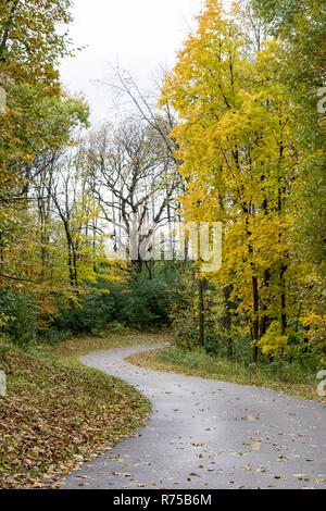 Au début de l'automne dans un parc du Minnesota, les feuilles commencent à changer de couleur Banque D'Images