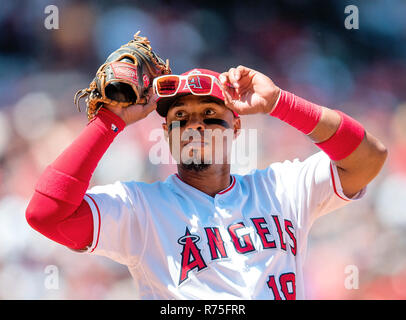 Décembre 07, 2018 Anaheim, CA.(FICHIER PHOTOS) Deux joueurs de baseball professionnel est mort dans un vol aller de travers en Venezuela quand ils s'écrasa leur voiture tout en esquivant un piège placé par des bandits, selon des rapports.(18) Luis Valbuena, une ligue majeure de 11 ans, ancien combattant et ancien joueur de ligue majeure de Jose Castillo ont été tués jeudi lorsque la voiture a renversé tout en essayant d'éviter un rocher placé sur leur chemin, El Nuevo Herald a signalé. (Photographe complète absolue & Company : Juan de crédit/MarinMedia.org/Cal Lainez Sport Media Network Television (veuillez contacter votre revendeur Re Banque D'Images