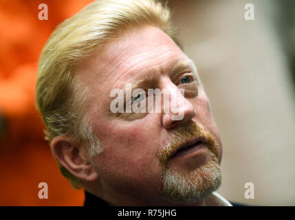 Francfort, Allemagne. Le 04 février, 2017. La légende allemande de tennis Boris Becker regarde le match entre l'Allemagne et la Belgique à la Coupe Davis de tennis à l'Ballsporthalle à Francfort, Allemagne, 04 février 2017. Credit : Arne Dedert/dpa | dans le monde d'utilisation/dpa/Alamy Live News Banque D'Images