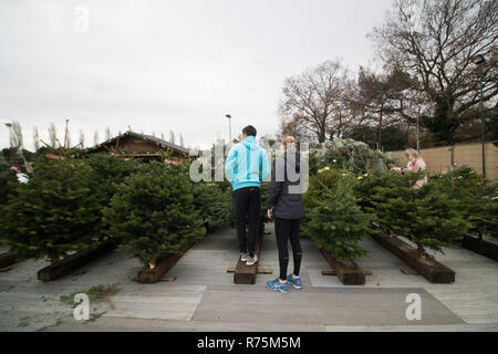 London UK. 8 décembre 2018. Les gens magasinent pour les arbres de Noël dans une pépinière de Winbledon Park Crédit : amer ghazzal/Alamy Live News Banque D'Images