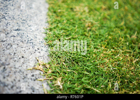 Close up séparés et de l'herbe pierre plate. Banque D'Images