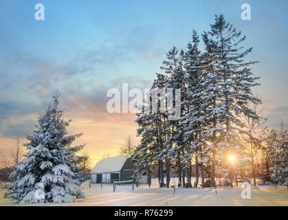 Coucher du soleil sur un champ agricole rural. Banque D'Images