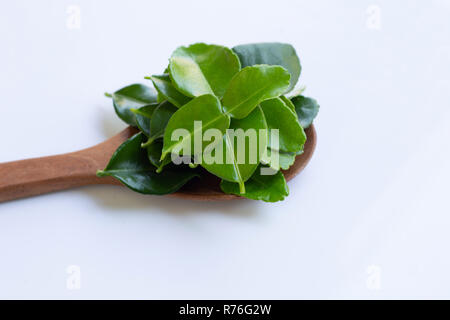 La bergamote feuilles de lime sur l'herbe cuillère en bois sur fond blanc. Banque D'Images
