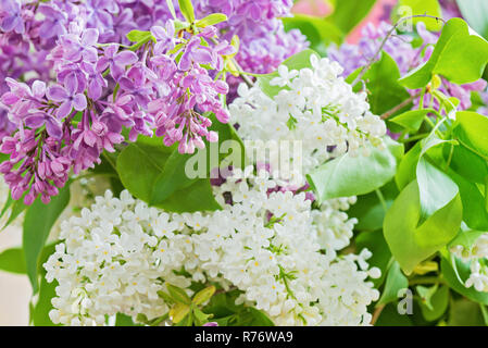 Bouquet de lilas dans un vase Banque D'Images