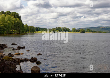 Les bouleaux sur rive sud du Loch Rannoch près de Delta de carie Banque D'Images