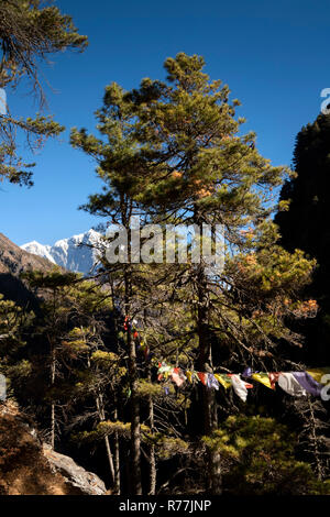 Le Népal, Larja Dobhan, distantes sur les pics du Mont Everest et Lhotse et drapeaux de prière bouddhiste de la région de Larja Suspension Bridge Banque D'Images