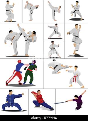 Sports de combat orientaux. Le sportif dans un poste. Le Wushu. KungFu. Le karaté. Illustration de Vecteur