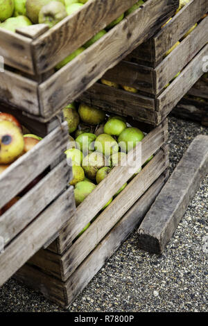 Les pommes dans des boîtes en bois, détail de fruits frais, de l'alimentation et la santé Banque D'Images