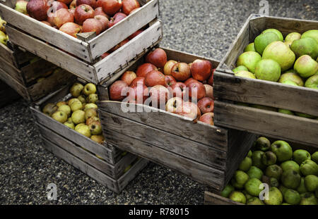 Les pommes dans des boîtes en bois, détail de fruits frais, de l'alimentation et la santé Banque D'Images