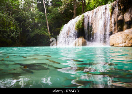 Wang matcha, le deuxième niveau de cascade Erawan dans la province de Kanchanaburi, Thaïlande, avec ses poissons dans l'eau claire. Banque D'Images