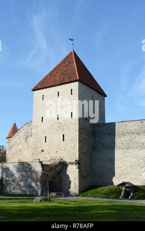 Tour de la jeune fille dans le mur de la ville de Tallinn, Estonie Banque D'Images