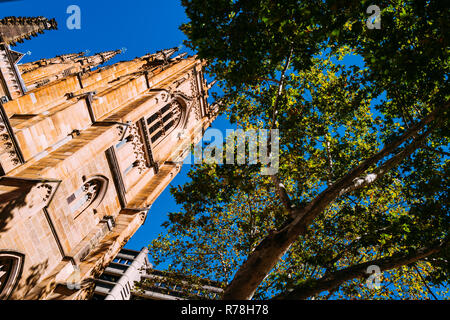 La Cathédrale St Andrew, à Sydney, Australie Banque D'Images