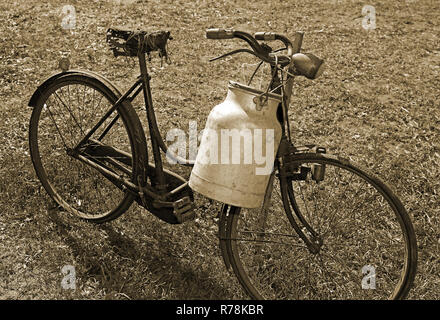 Vieux vélo laitier et le bac de l'aluminium pour le transport du lait de vache Banque D'Images