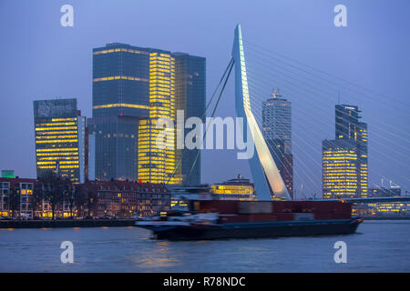 Sur les toits de la rivière Nouvelle Meuse, pont Erasmus et gratte-ciel dans le quartier Kop van Zuid, Rotterdam, Holland Banque D'Images