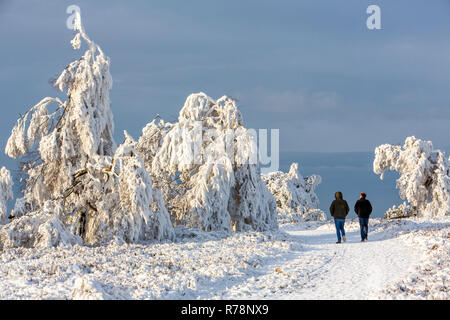 Arbres couverts de neige et les randonneurs, Winterberg, Winterberg, Rhénanie-Palatinat, Hesse, Allemagne Banque D'Images