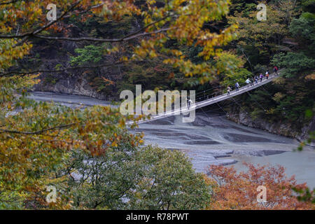 Les personnes qui traversent le pont suspendu du rêve à Kawanehon Sumata, Gorge, Shizuoka, Japon Banque D'Images