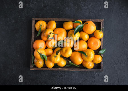 Tangerines (oranges, clémentines, agrumes) avec des feuilles vertes dans l'encadré sur fond noir, copiez l'espace. Banque D'Images